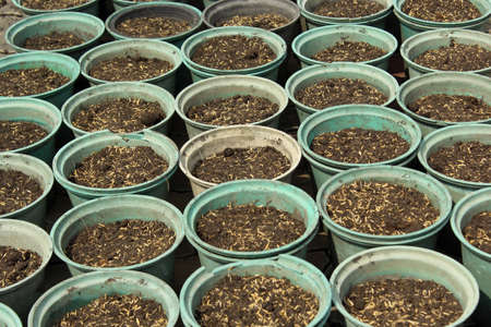 Potting soil with good compost for your Plant の写真素材