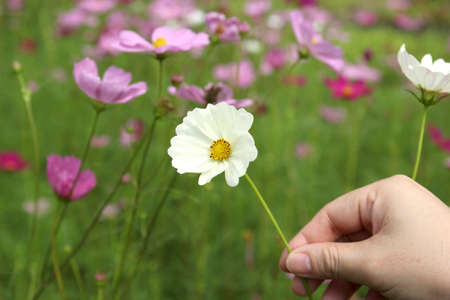 Appreciate the beauty of nature without having to register の写真素材