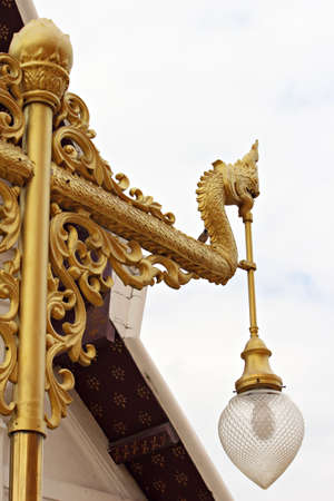 Serpent Lantern の写真素材