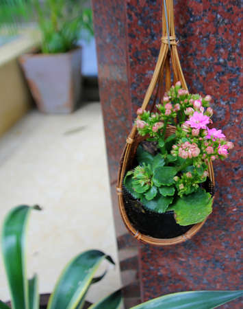 Basket of flowers の写真素材