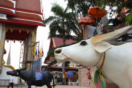 Buffalo Statue Thailand の写真素材