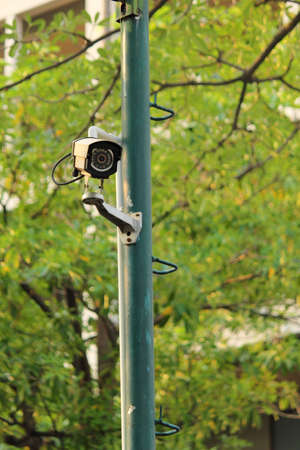 Security surveillance camera near green forestの写真素材