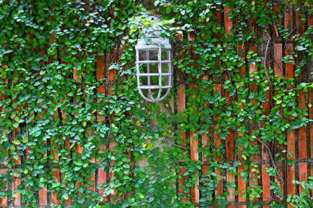 Old wall lamp part 2の写真素材