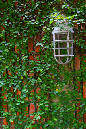 Old wall lamp part 1の写真素材