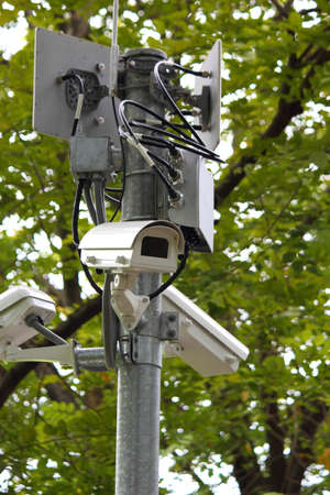 CCTV Security surveillance green forest 