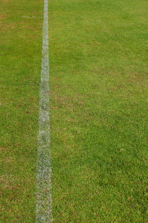 White line a football field