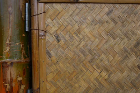  bamboo の写真素材