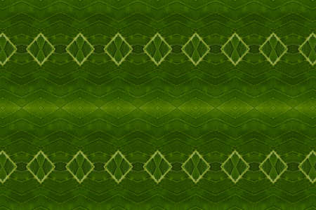 Art from leaves  Wall paper concept の写真素材