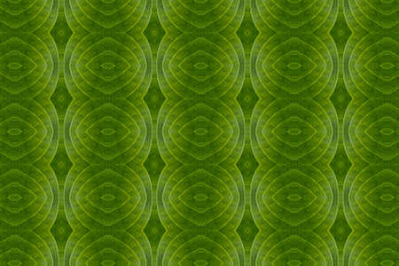 Art from leaves  Wall paper concept 