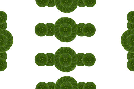  Create from leaf  Gift paper concept の写真素材