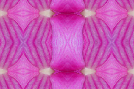  Purple pattern