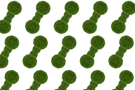  Create from leaf   Wall paper concept 