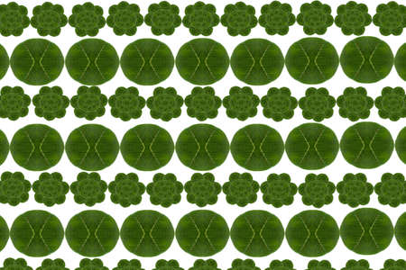 Pattern from leaf and wall paper concept