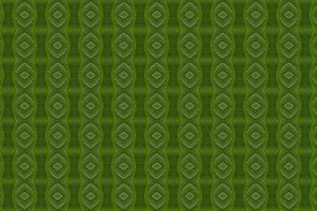 Pattern from leaf and wall paper conceptの写真素材