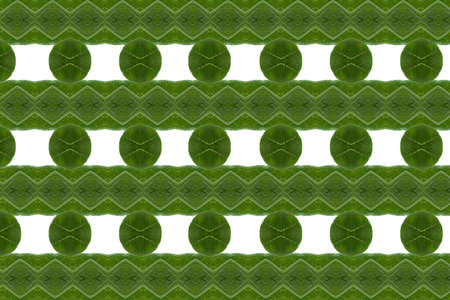 Art from leaves  wall paper concept の写真素材