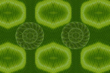 Art from leaves  wall paper concept 
