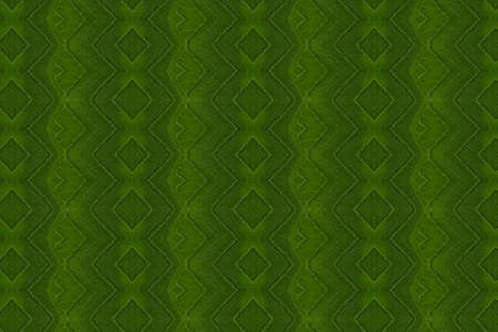 Pattern from leaf and wall paper conceptの写真素材