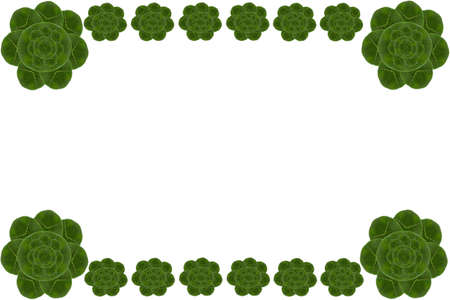Card form leaf  and gift paper conceptの写真素材