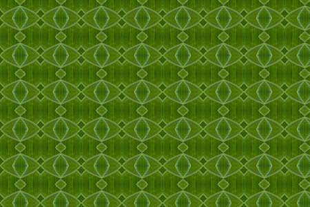 Pattern from leaf and wall paper conceptの写真素材