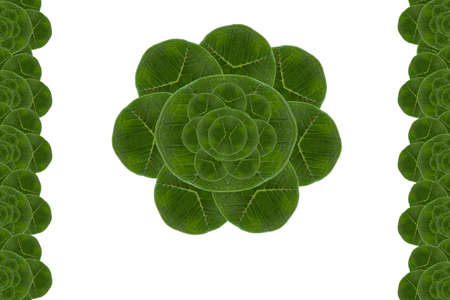 Card form leaf  and gift paper conceptの写真素材