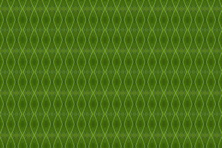 Pattern from leaf and wall paper conceptの写真素材