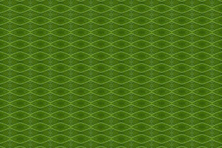 Pattern from leaf and wall paper conceptの写真素材