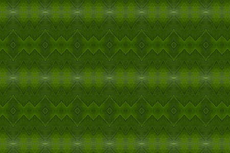 Pattern from leaf and wall paper conceptの写真素材
