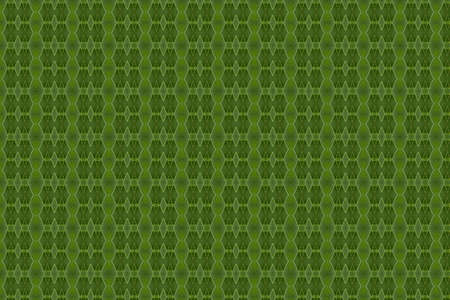 Pattern from leaf and wall paper conceptの写真素材