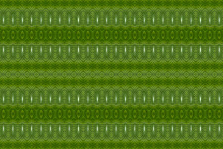 Pattern from leaf and wall paper conceptの写真素材