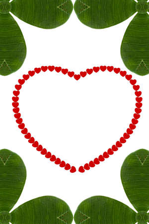 Red heart in frameの写真素材