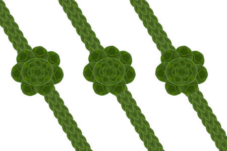 Create from leaf card conceptの写真素材