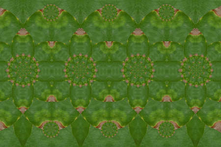 Wallpaper  concept.Idea from leaf