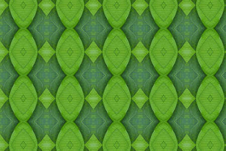 Idea from leaf.wallpaper conceptの写真素材
