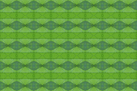 Idea from leaf.wallpaper conceptの写真素材