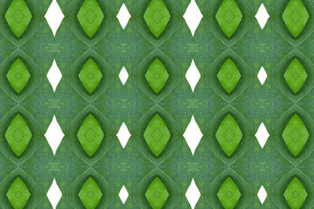 Idea from leaf.Wallpaper conceptの写真素材