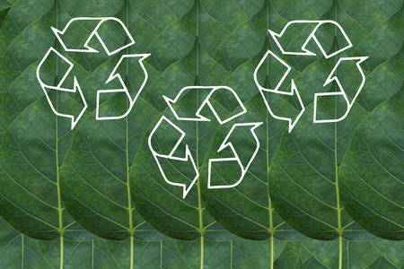 Idea form leaf.(Pattern for wallpaper concept)の写真素材