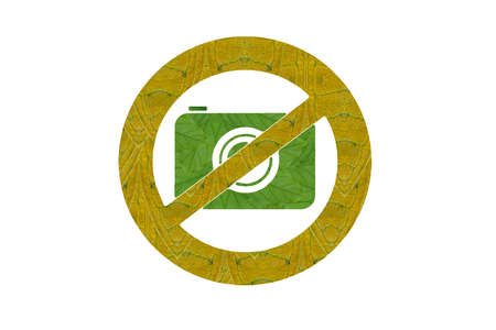 Idea from leaf.No photo cameraの写真素材