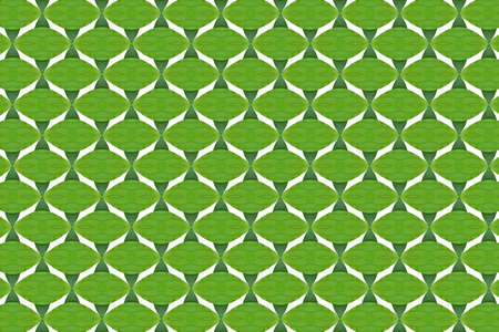 Pattern from leaf.wallpaper conceptの写真素材
