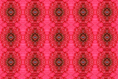 Idea for pink flower.Wallpaper conceptの写真素材