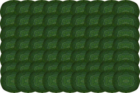 Create from leafの写真素材