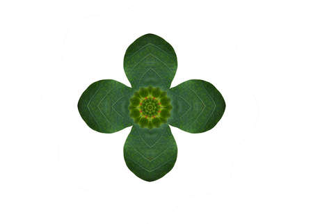 Idea from leaf.Flower concept