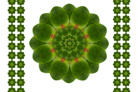 Create from leaf.flower conceptの写真素材