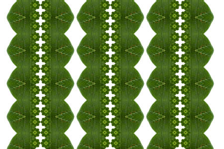 Idea from leafの写真素材