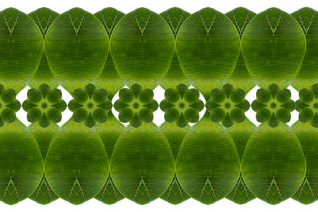 Idea from leafの写真素材