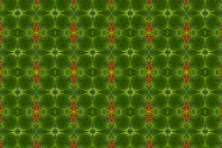 Idea from leafの写真素材