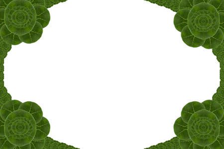 Idea from leafの写真素材