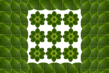 Idea from leafの写真素材