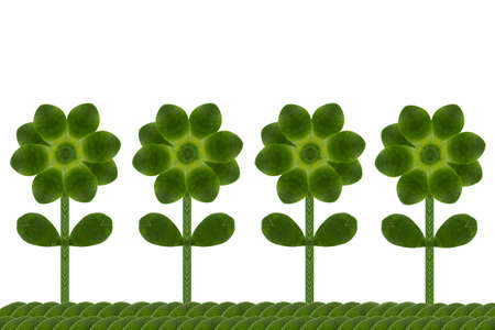 Flower a create form conceptの写真素材