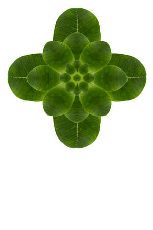Flower a create form conceptの写真素材