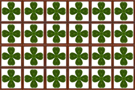 Pattern from leaf in frame woodの写真素材